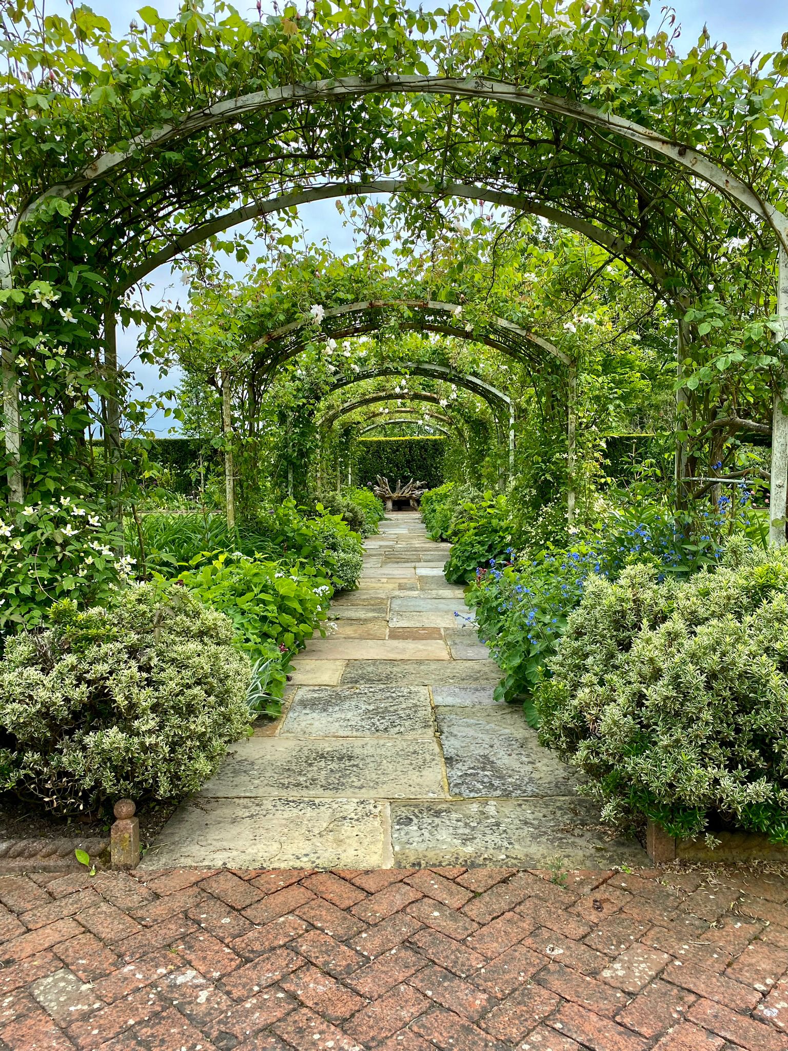 Maintenance Services, Cheesman's Landscape Services, Kent, Sussex
