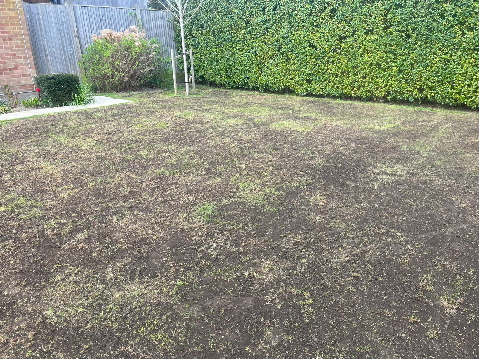 Grass Cutting, Cheesman's Landscape Services, Kent, Sussex