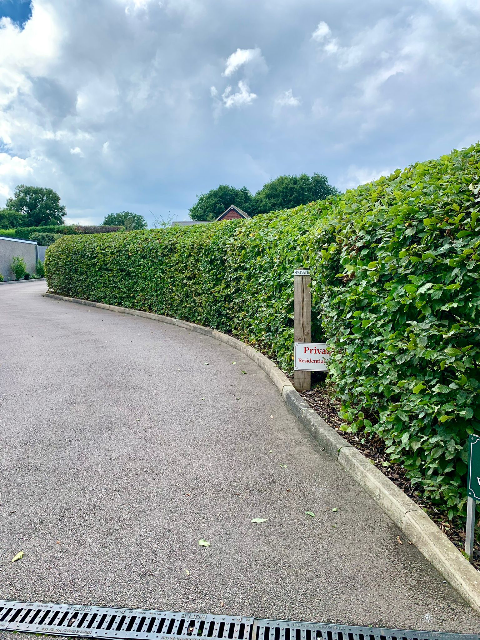 Hedge Cutting, Cheesman's Landscape Services, Kent, Sussex