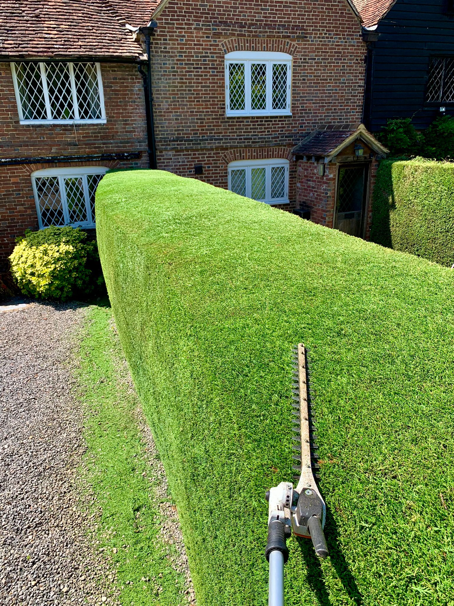 Hedge Cutting, Cheesman's Landscape Services, Kent, Sussex