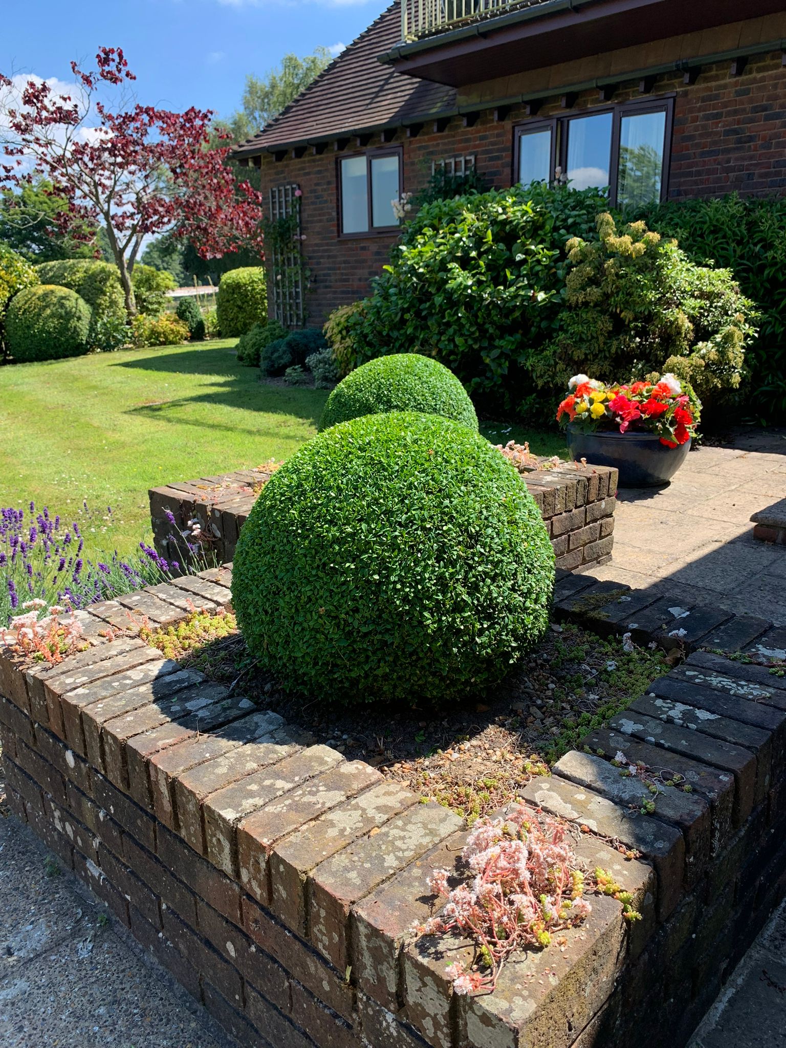 Hedge Cutting, Cheesman's Landscape Services, Kent, Sussex