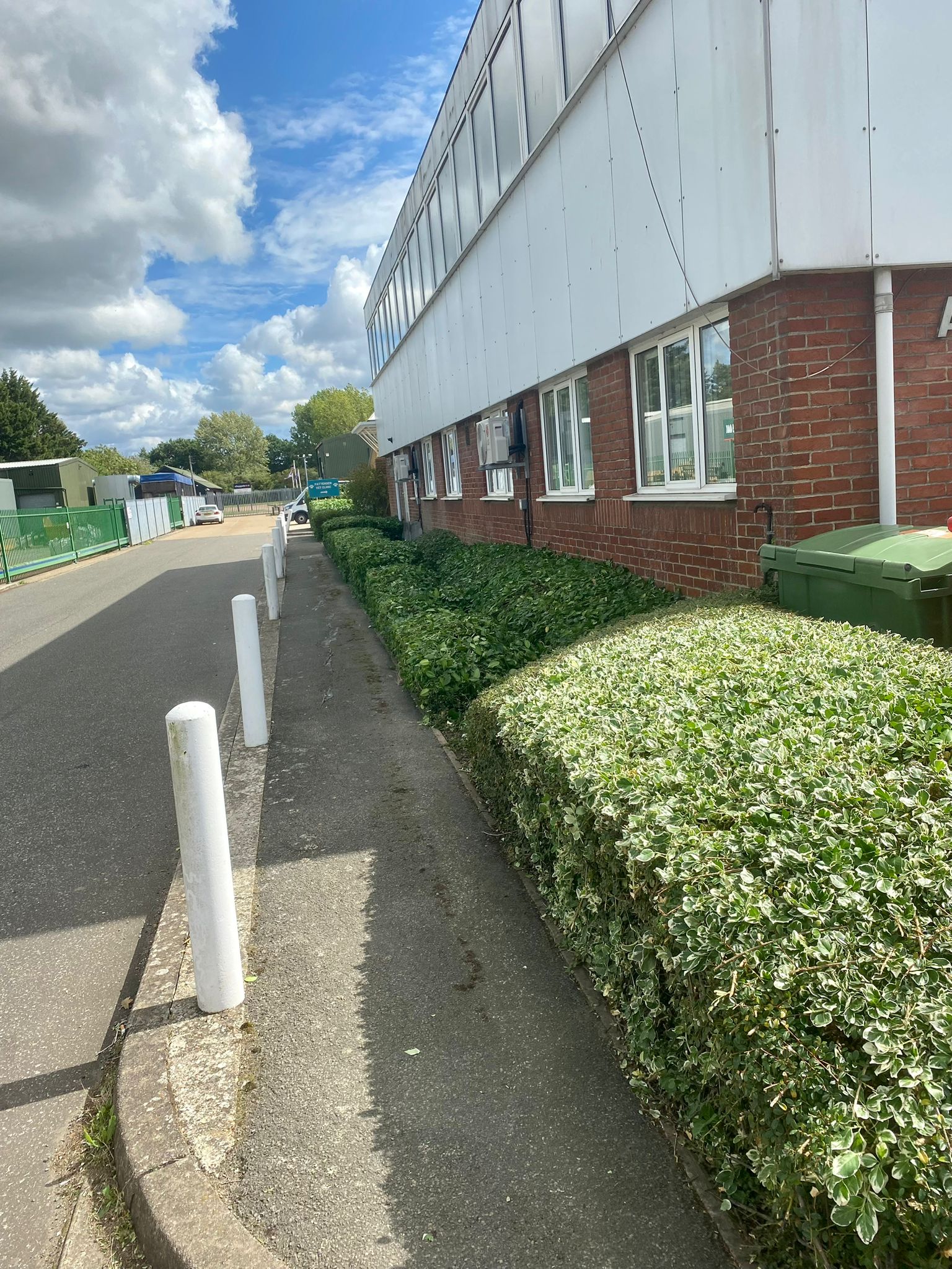 Hedge Cutting, Cheesman's Landscape Services, Kent, Sussex