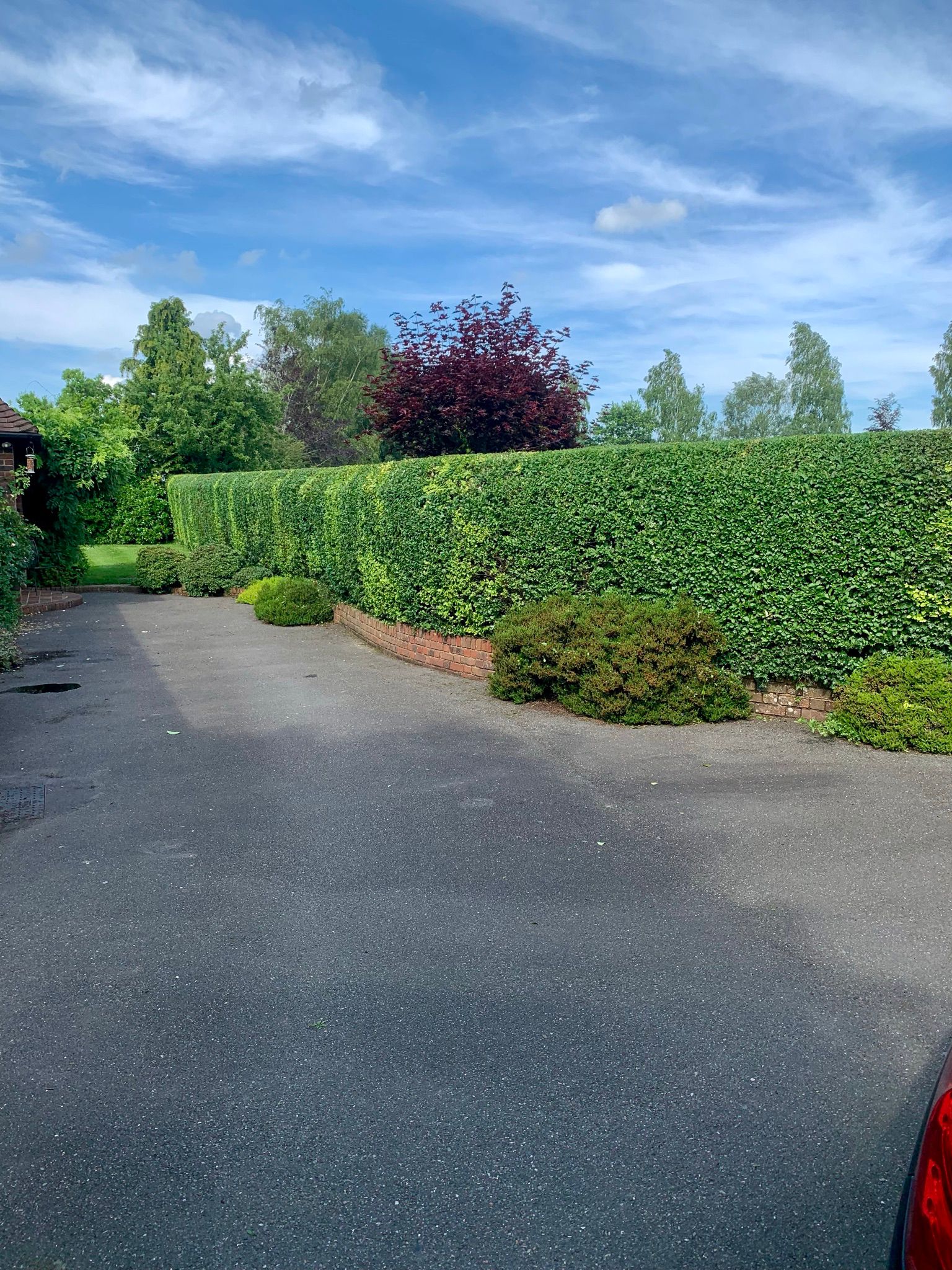 Hedge Cutting, Cheesman's Landscape Services, Kent, Sussex