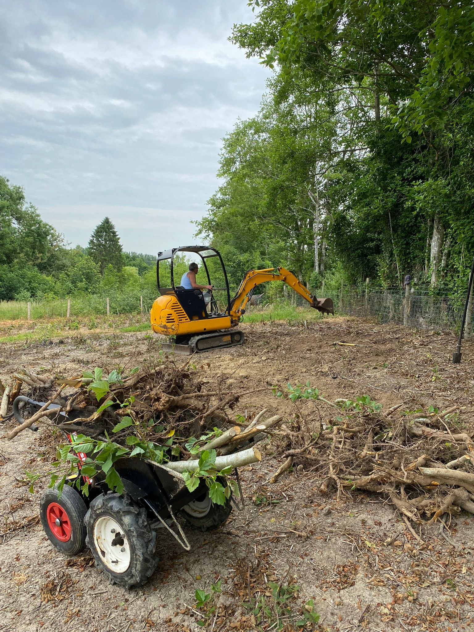 Landscape Services, Cheesman's Landscape Services, Kent, Sussex